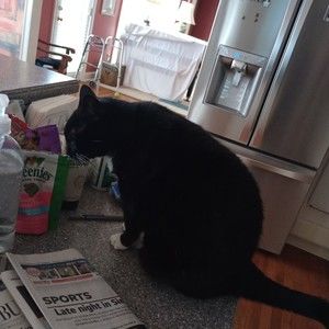 Meet your Posher, Edward